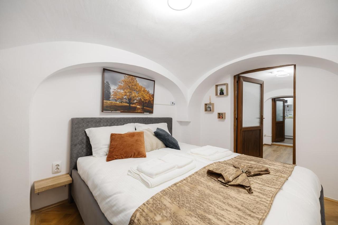 Downtown Cio Apartment Sibiu Exterior foto