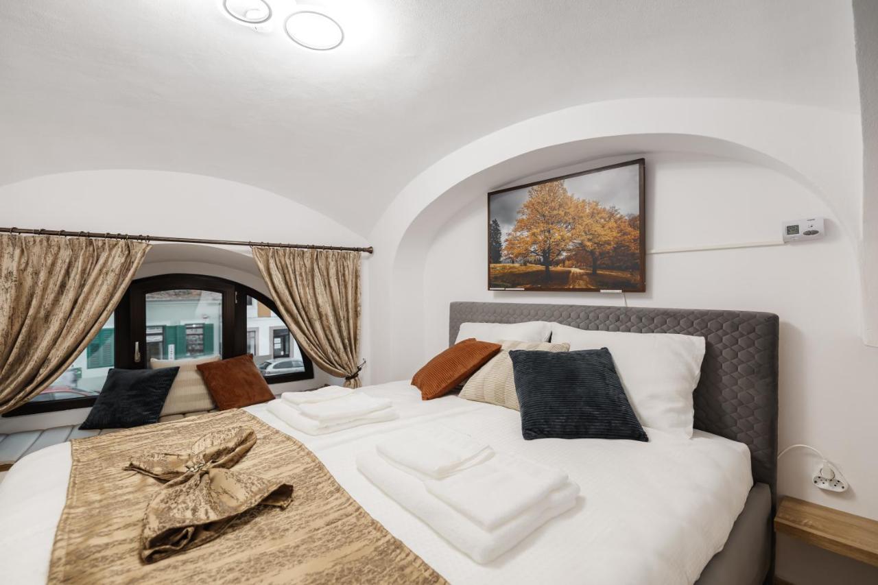 Downtown Cio Apartment Sibiu Exterior foto